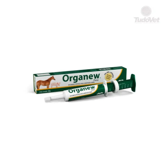 Organew Pasta 32 g