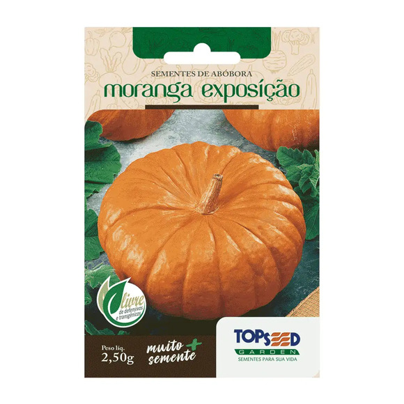 Sementes de Abóbora Moranga Exposição Tradicional Topseed Garden Único
