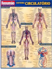 Livro Sistema Circulatorio Resumao - Barros
