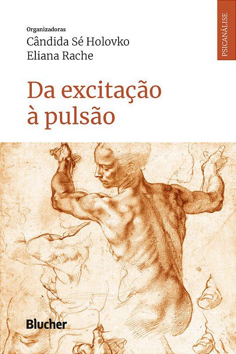 Livro Da excitação à pulsão - Holovko - Blucher