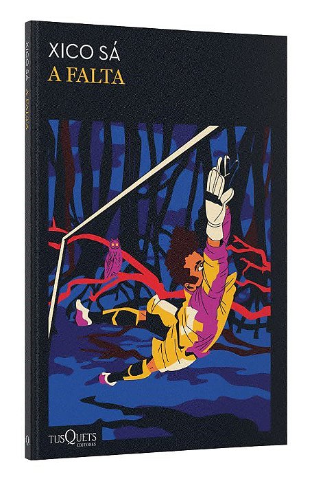 Livro Falta, A: Memorias de Um Goleiro - Sa