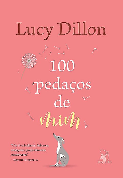 Livro 100 Pedaços de Mim