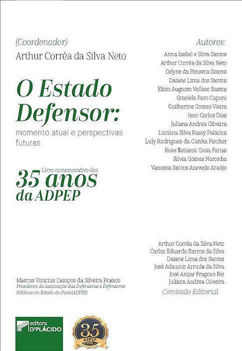 Livro Estado Defensor, o - Momento Atual e Perspectivas Futuras - Silva Neto