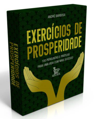 Livro Exercicios De Prosperidade: 100 Perguntas E Praticas Para Uma Vida Com Mais - Barbosa