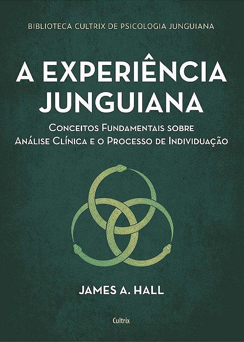 Livro Experiencia Junguiana, a - Conceitos Fundamentais sobre Analise Clinica e O - Hall