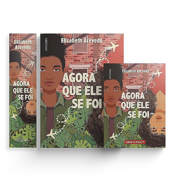 Livro Agora Que Ele se Foi