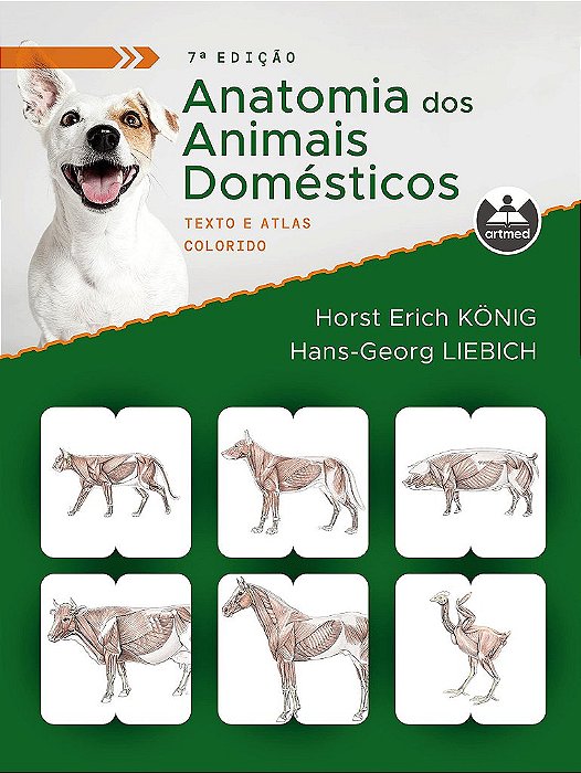Livro Anatomia dos Animais Domésticos: Texto e Atlas Colorido Konig