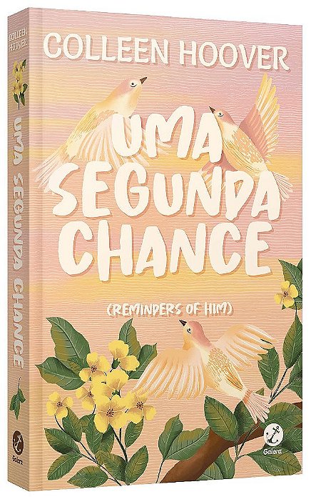 Livro Segunda Chance, Uma - Hoover