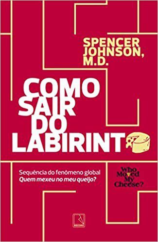 Livro Como Sair do Labirinto - Johnson