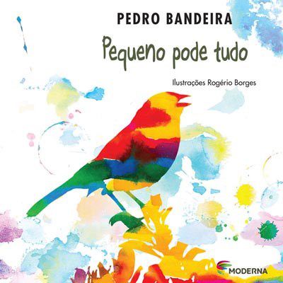 Livro Pequeno Pode Tudo - Bandeira
