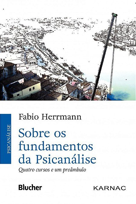 Livro Sobre os Fundamentos da Psicanalise - Quatro Cursos e Um Preambulo - Herrmann