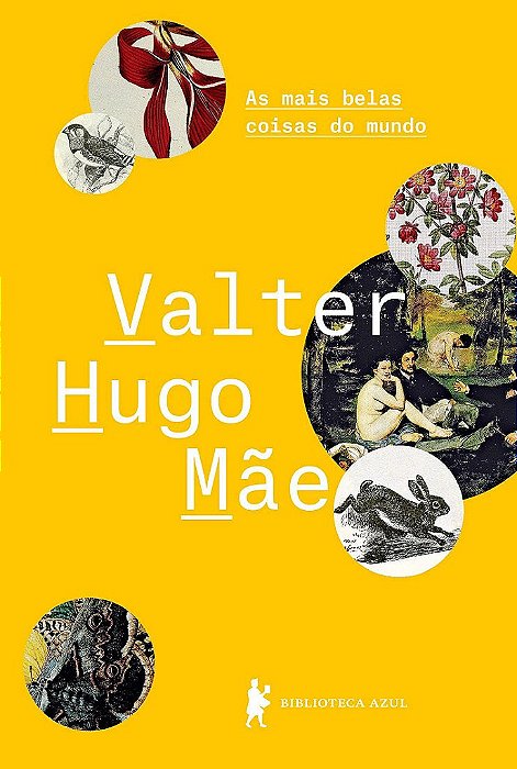 Livro Mais Belas Coisas do Mundo - Mae - Biblioteca Azul