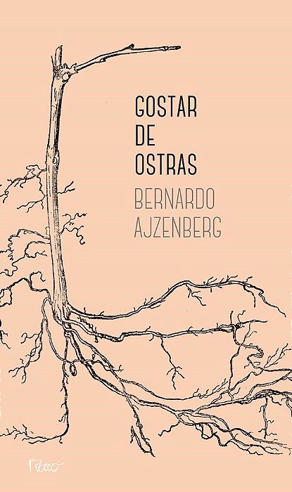 Livro Gostar de Ostras - Ajzenberg