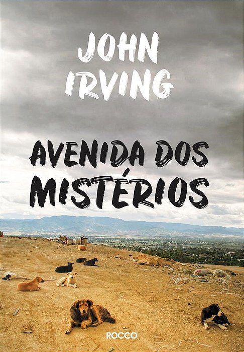 Livro Avenida dos Misterios - Irving