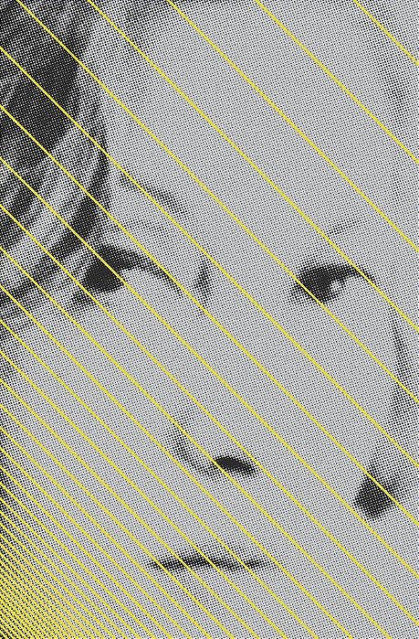 Livro Todas as Crônicas Clarice Lispector