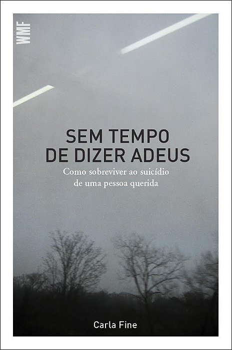 Livro Sem Tempo de Dizer Adeus - Fine - WMF