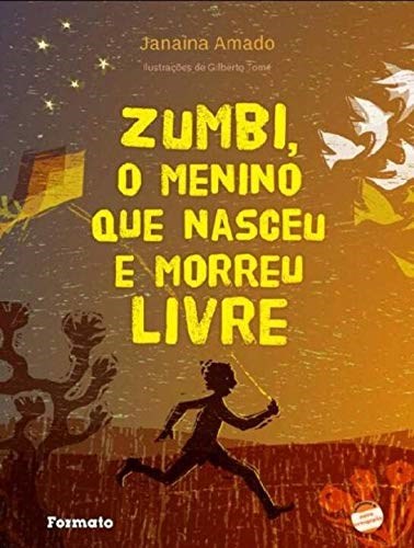Livro Zumbi, o Menino Que Nasceu e Morreu Livre... - Janaina Amado, Luiz