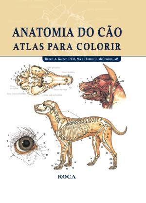 Livro Anatomia do Cão Atlas para Colorir