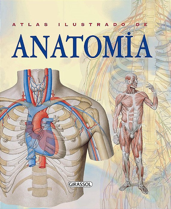 Livro Atlas Ilustrado de Anatomia - Rigutti - Girassol