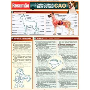 Livro Como Cuidar Bem do Seu Cao - Colecao Resumao - Pinney