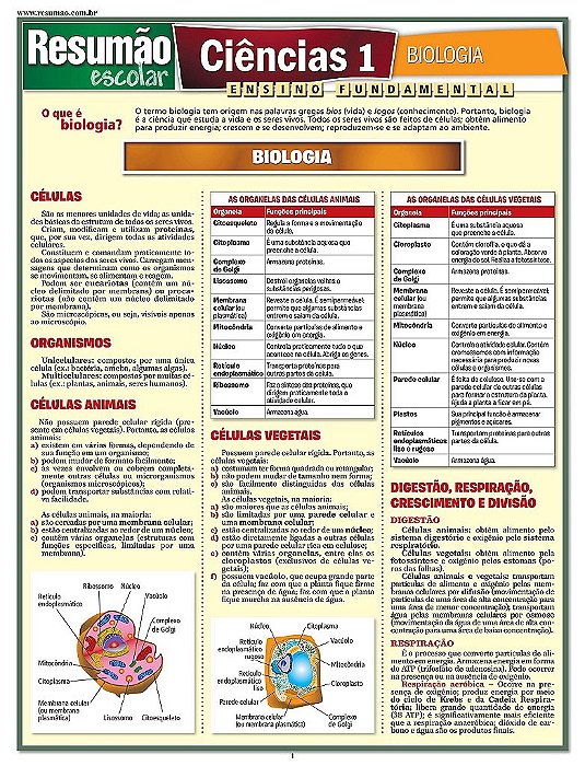 Livro Ciencias 1 - Biologia - Bfa