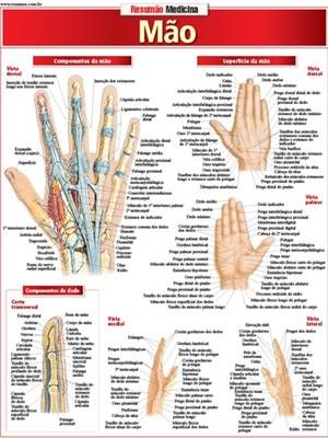 Livro Resumão Medicina Mão