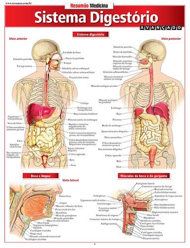 Livro Sistema Digestorio Avancado - Perez