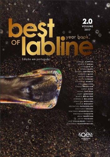 Livro Best Of Labline - Year Book - Vol.2 - Blasi/bologna/torosi