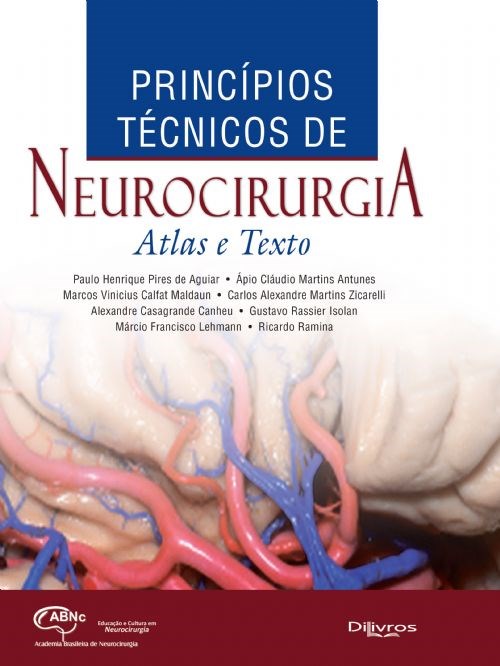 Livro Princípios Tecnicos de Neurocirurgia Atlas e Texto  Antunes