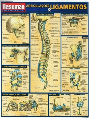 Livro Articulações & Ligamentos Resumão - Barros