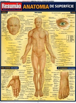 Livro Resumão Anatomia de Superficie