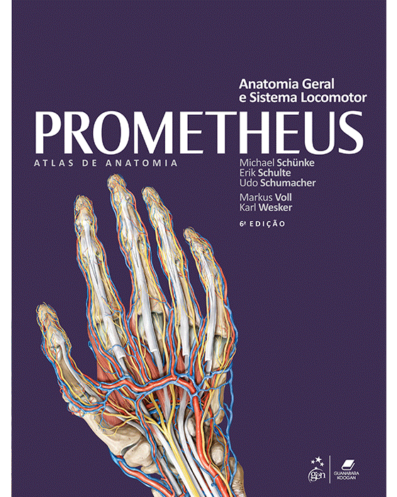 Livro Prometheus Coleção: Atlas de Anatomia 3 Volumes  Guanabara