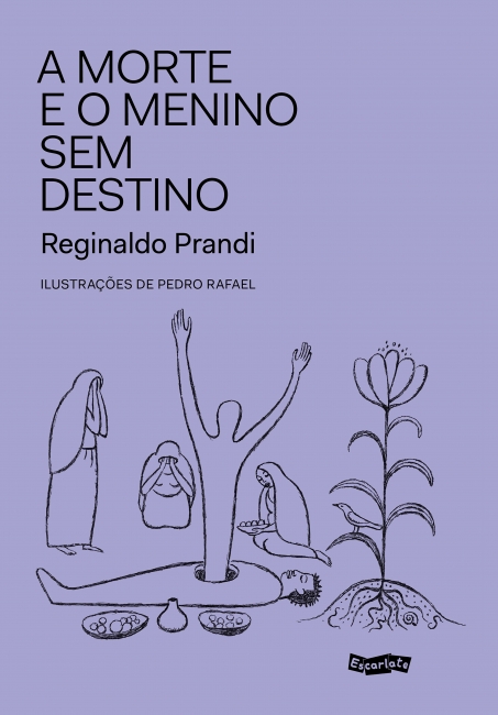 Livro A Morte e o menino sem destino