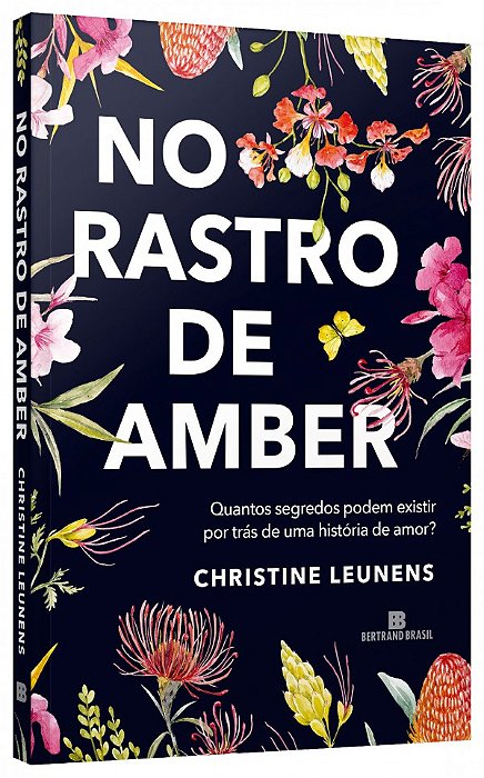 Livro No rastro de Amber