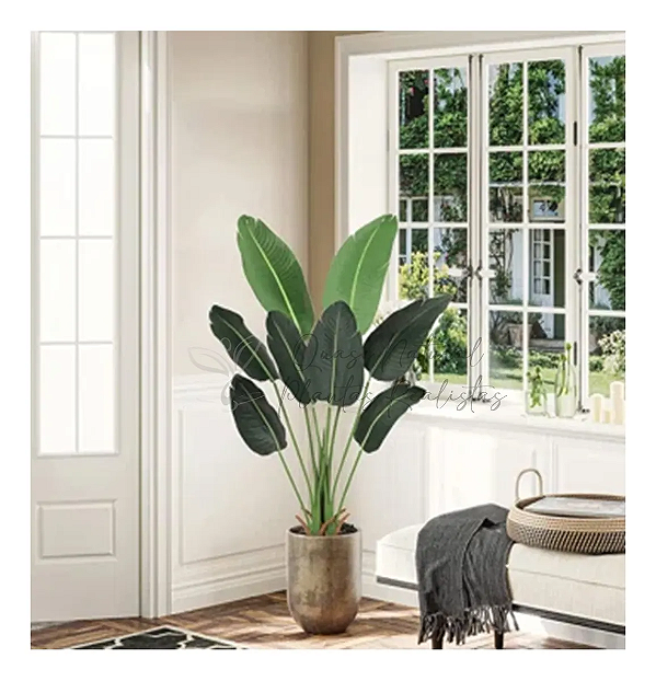 Bananeira Viajante Decoração Interna Premium 1.20m