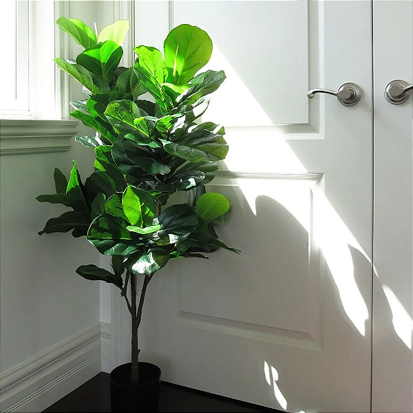 Ficus Lyrata Artificial Decoração Premium 1.20m Novo