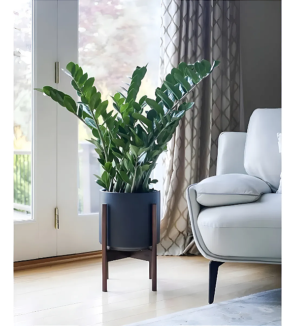 Planta Artificial Zamioculca Decoração Sala Com 1.00m