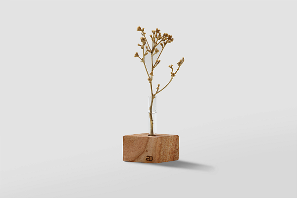 Vaso Solitário Canoa