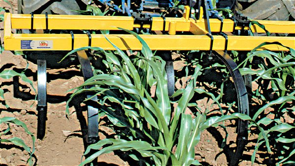 CE – Cultivador de Enxadas