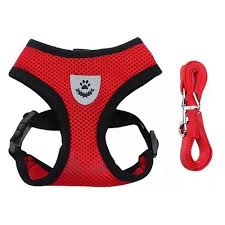 Colete Peitoral Vermelho P