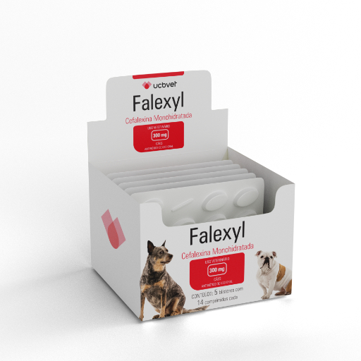 Falexyl 300Mg C/ 5 Blisters C/14Cpr