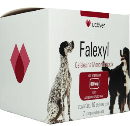 Falexyl 600Mg C/10 Blisters C/7 Cpr
