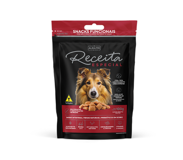 Snack Receita Especial Caes 100Gr