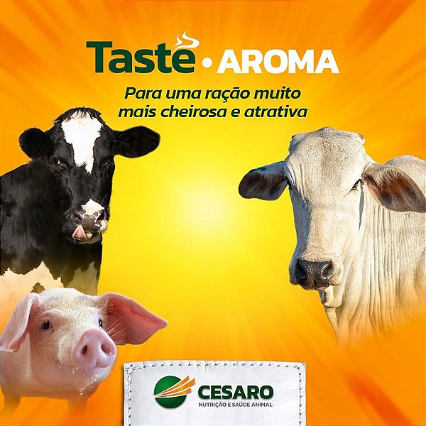 Taste-Aroma Cesaro: Aromatizante para Rações Animais 25kg
