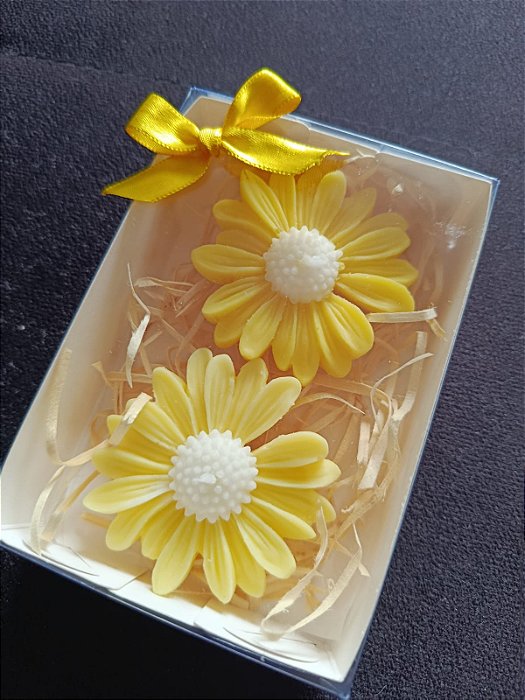 Vela Margarida flutuante - 2