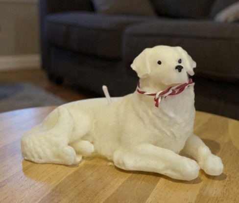 Vela Golden Retriver - 35 g