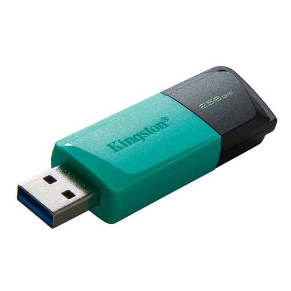 PEN Drive 256Gb Kingston Exodia M USB 3.2 - DTXM/256GB