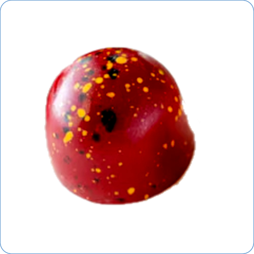 Bombom Chocolate de Geléia de Cupuaçú