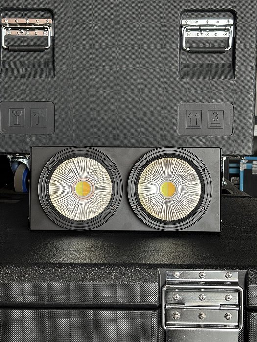 Mini Brut indoor 2x100W