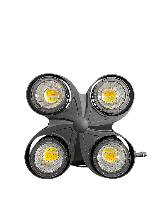 Mini Brut outdoor 4x100W